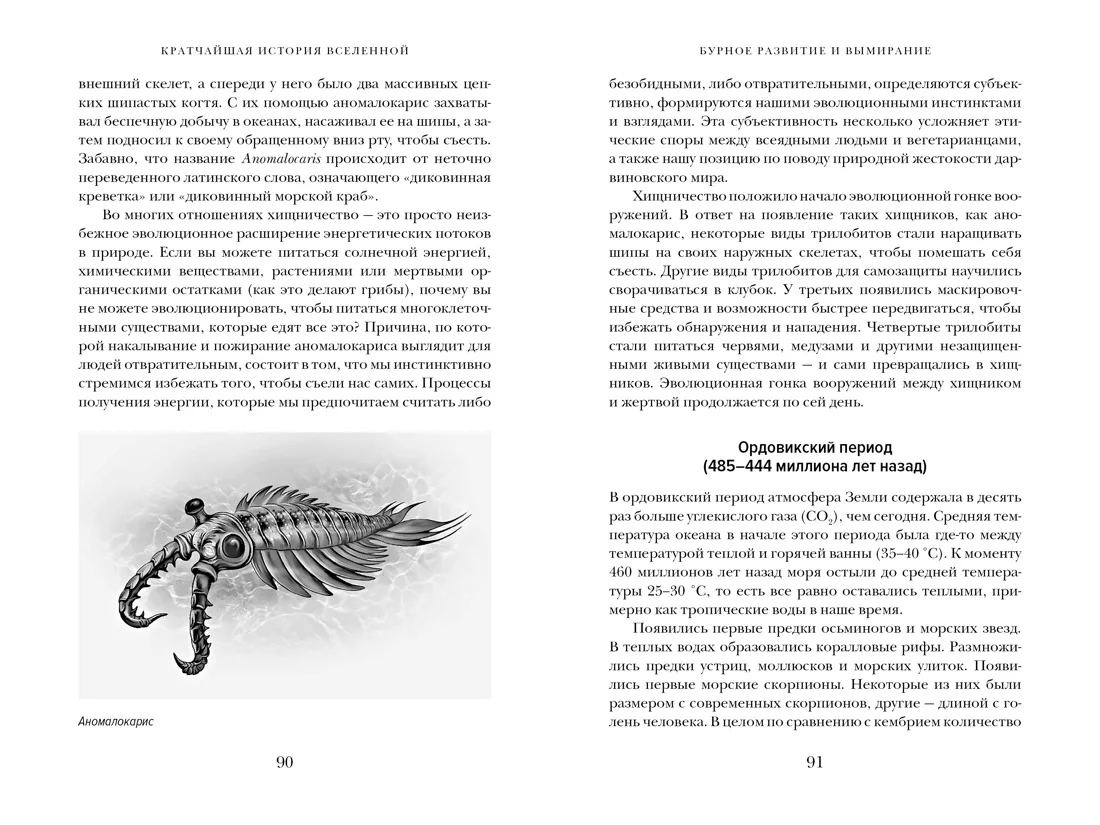 Кратчайшая история Вселенной: От Большого взрыва до наших дней (в сверхдоступном изложении)