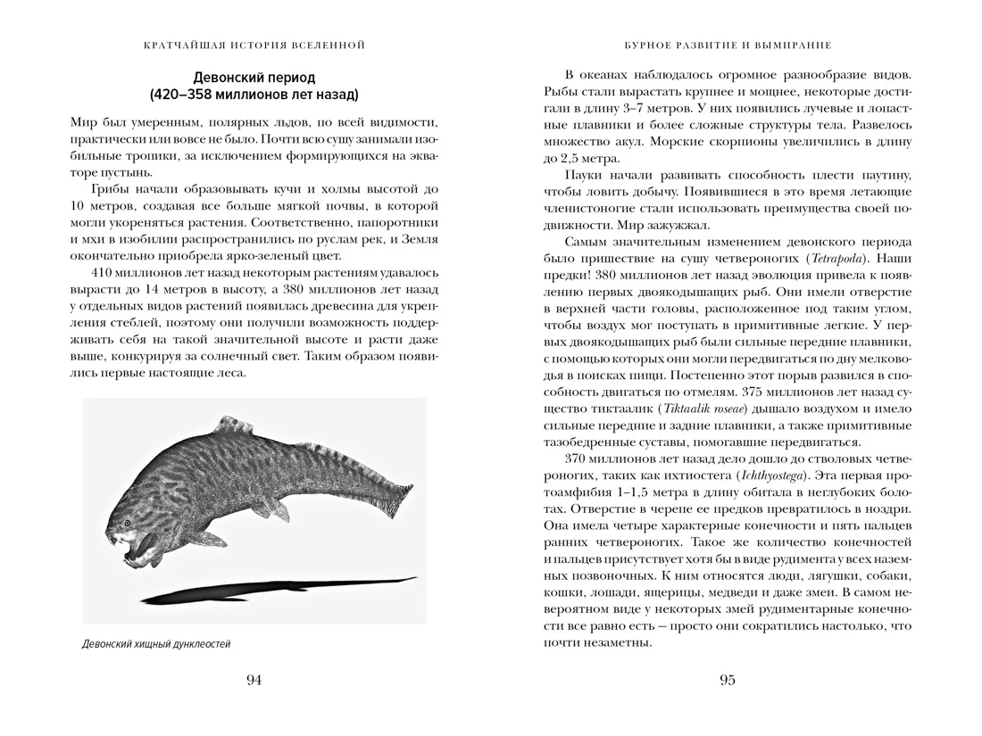 Кратчайшая история Вселенной: От Большого взрыва до наших дней (в сверхдоступном изложении)