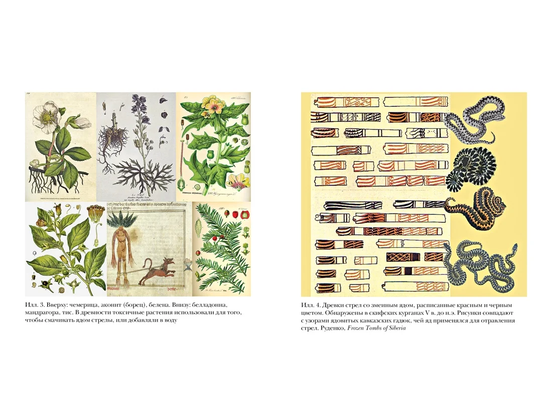 Яды, микробы, животные, адский огонь. История биологического и химического оружия Древнего мира