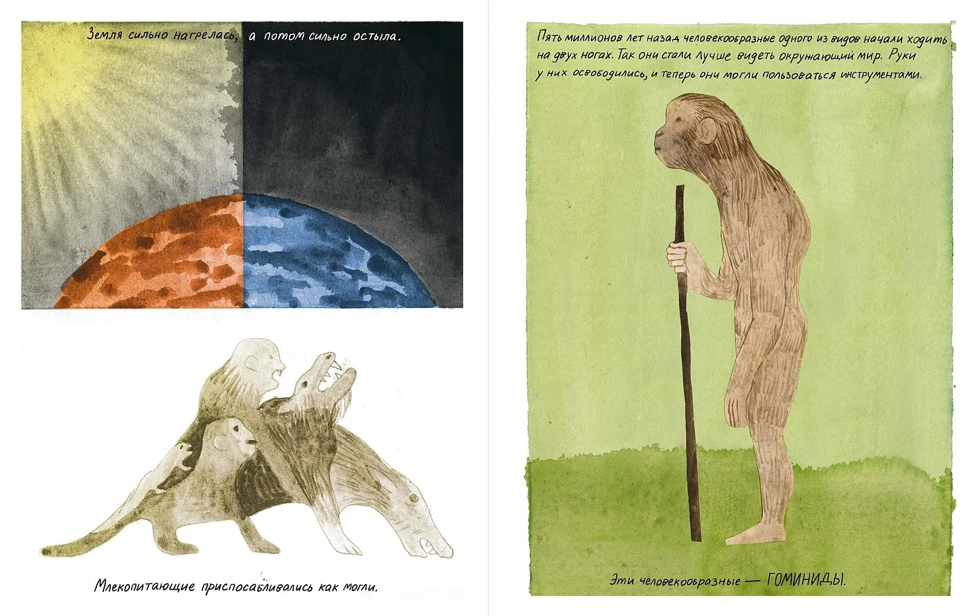 Жизнь (какой мы её знаем)