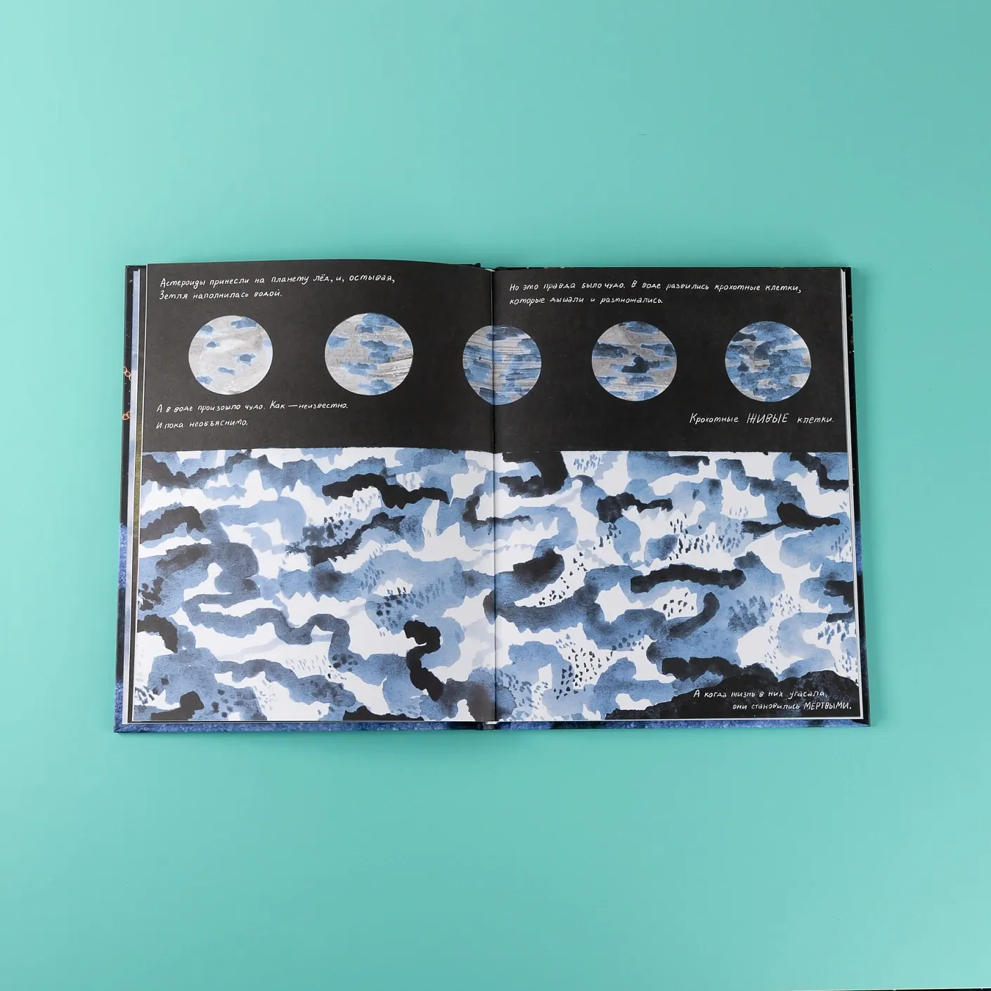 Жизнь (какой мы её знаем)