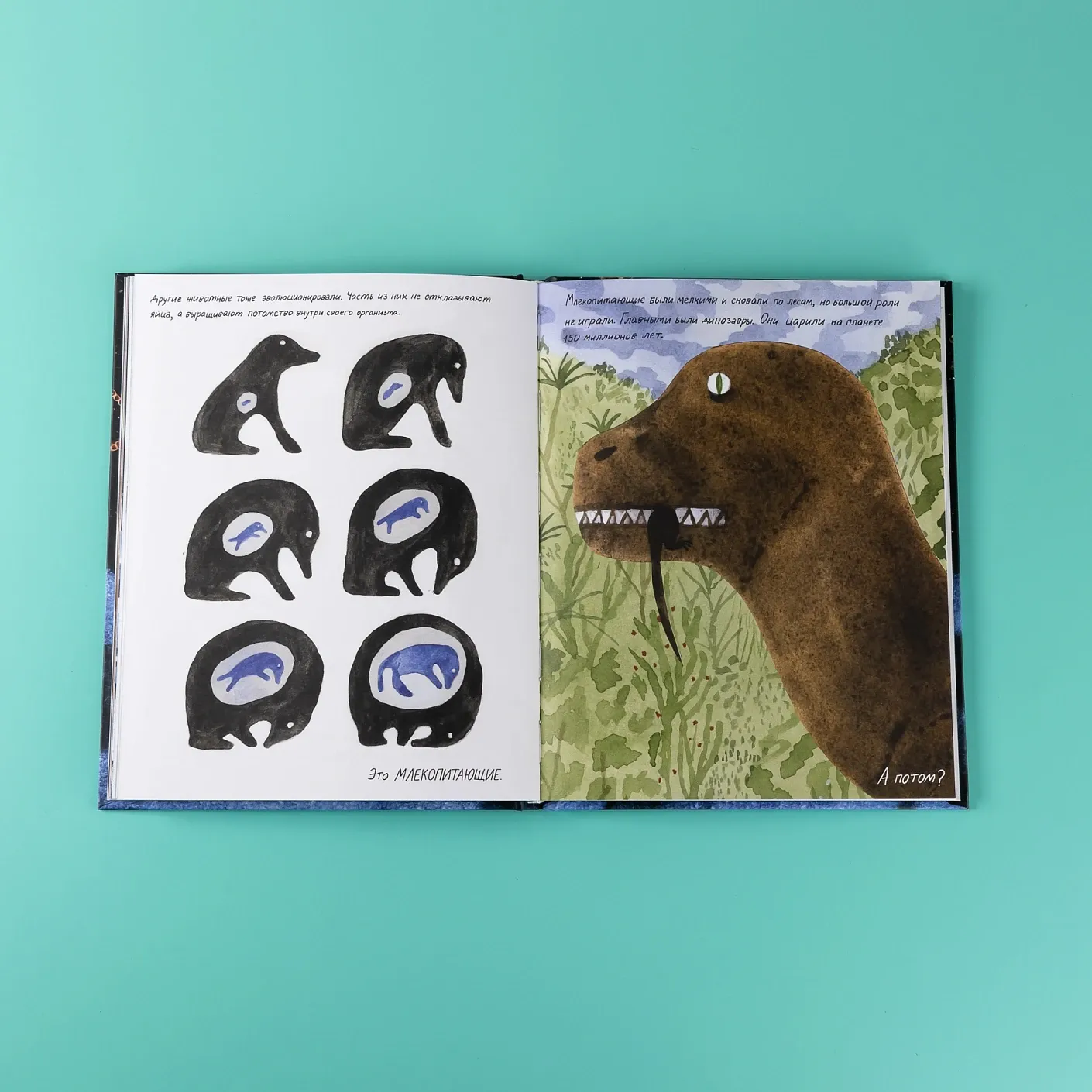 Жизнь (какой мы её знаем)