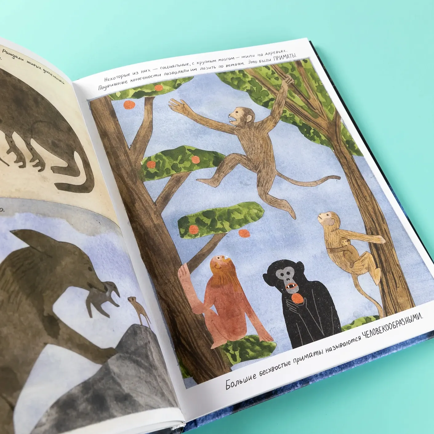 Жизнь (какой мы её знаем)