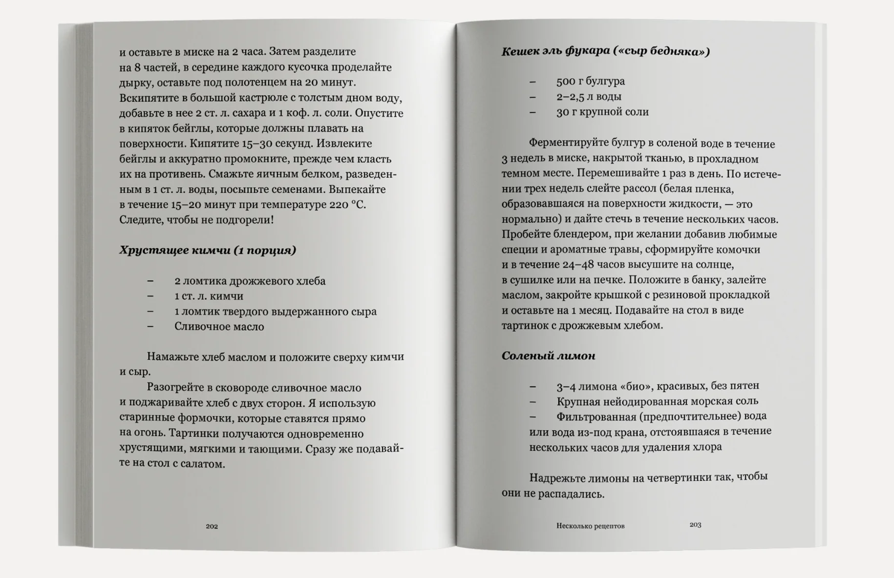 Мятежный дух. Малая философия ферментации