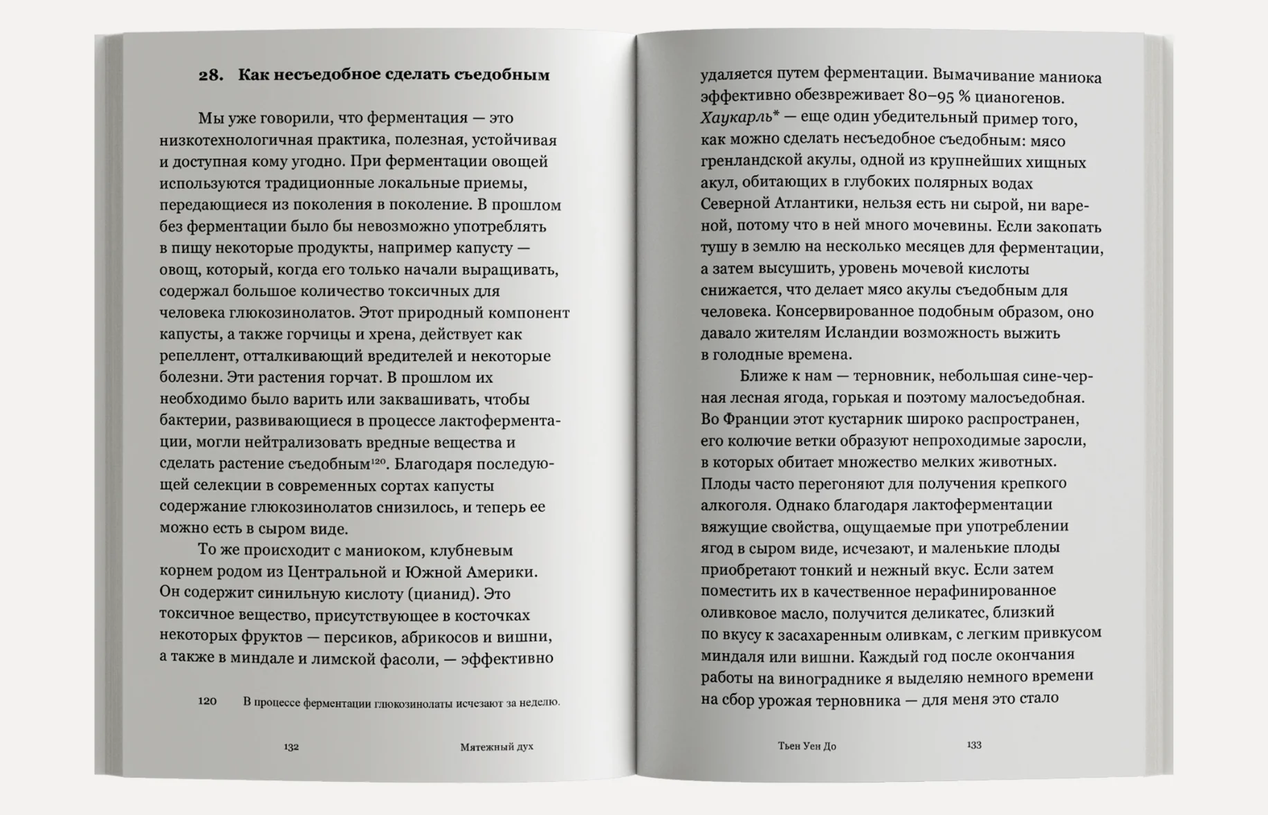 Мятежный дух. Малая философия ферментации