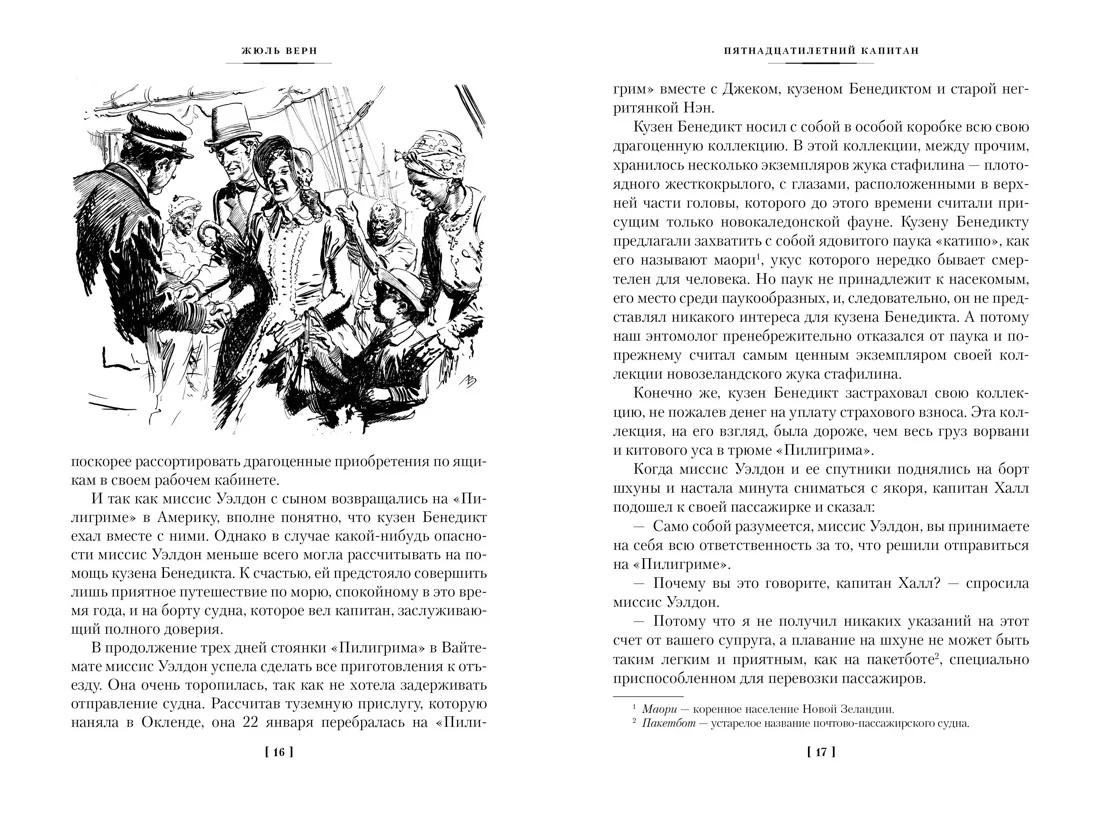 Пятнадцатилетний капитан. Пять недель на воздушном шаре