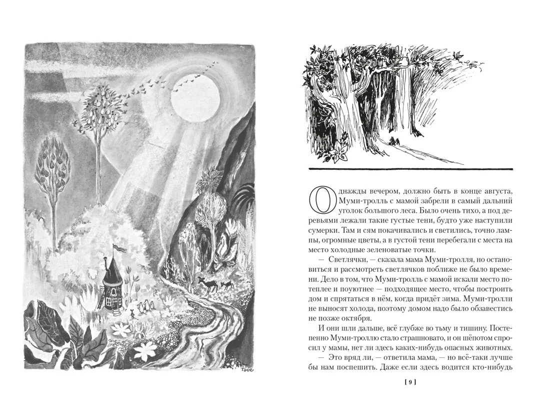 Шляпа волшебника. Муми-тролли и все-все-все. Книга 1
