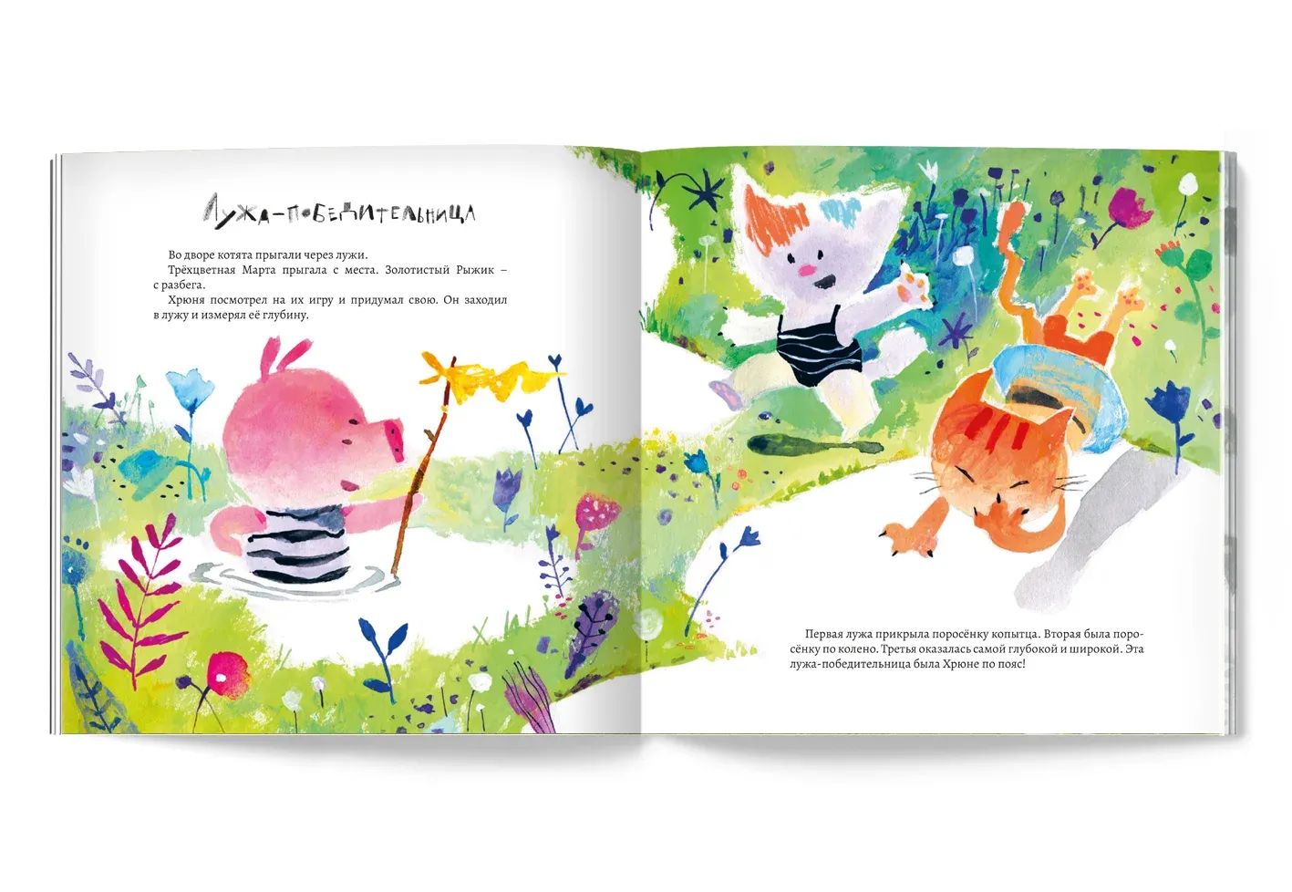 Вовсе не грязнуля