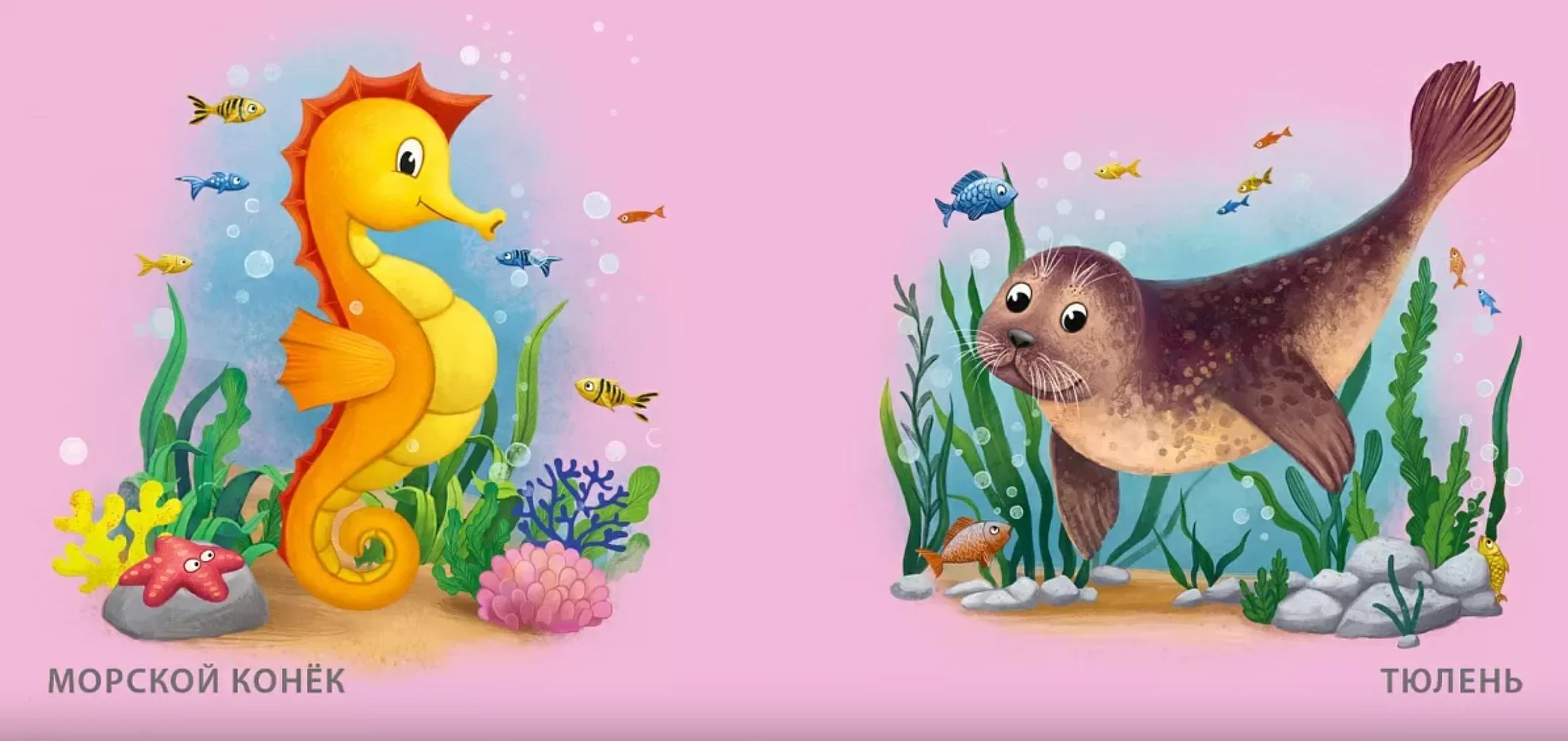 Книжка для купания. Кто живёт в воде