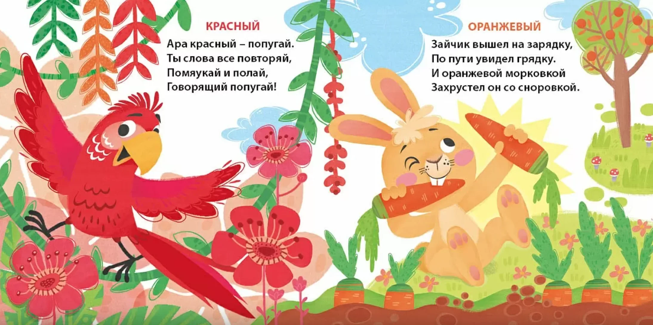 Книжки-картонки. Такие разные цвета для малышей