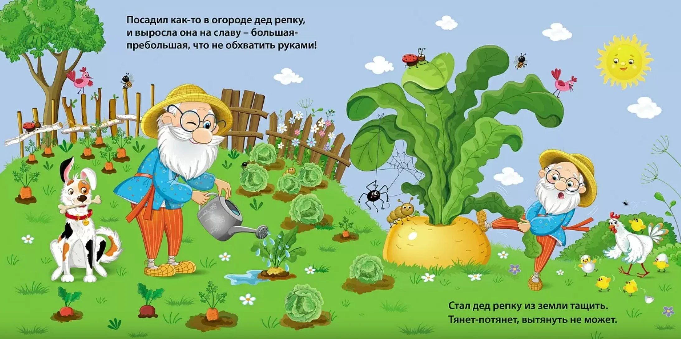 Книжки-картонки. Репка