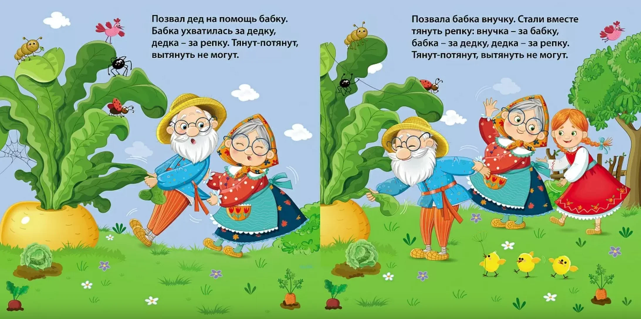 Книжки-картонки. Репка