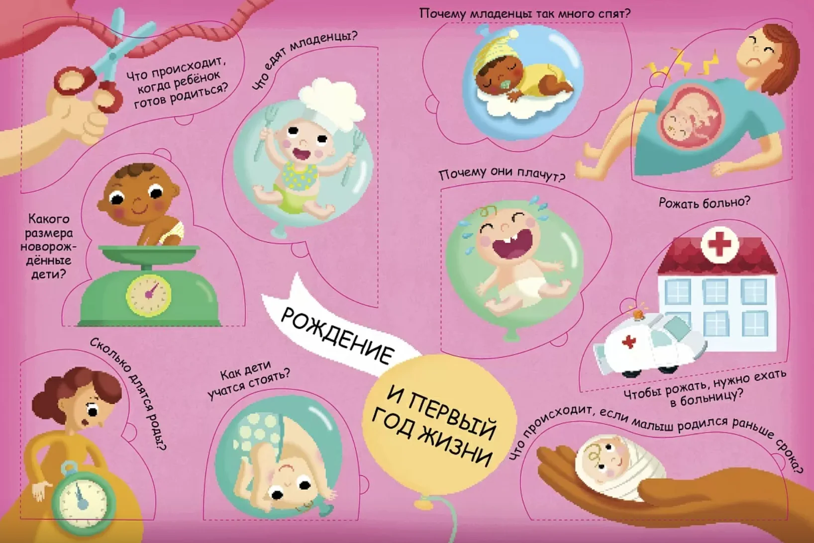 Волшебные окошки. Откуда берутся дети?