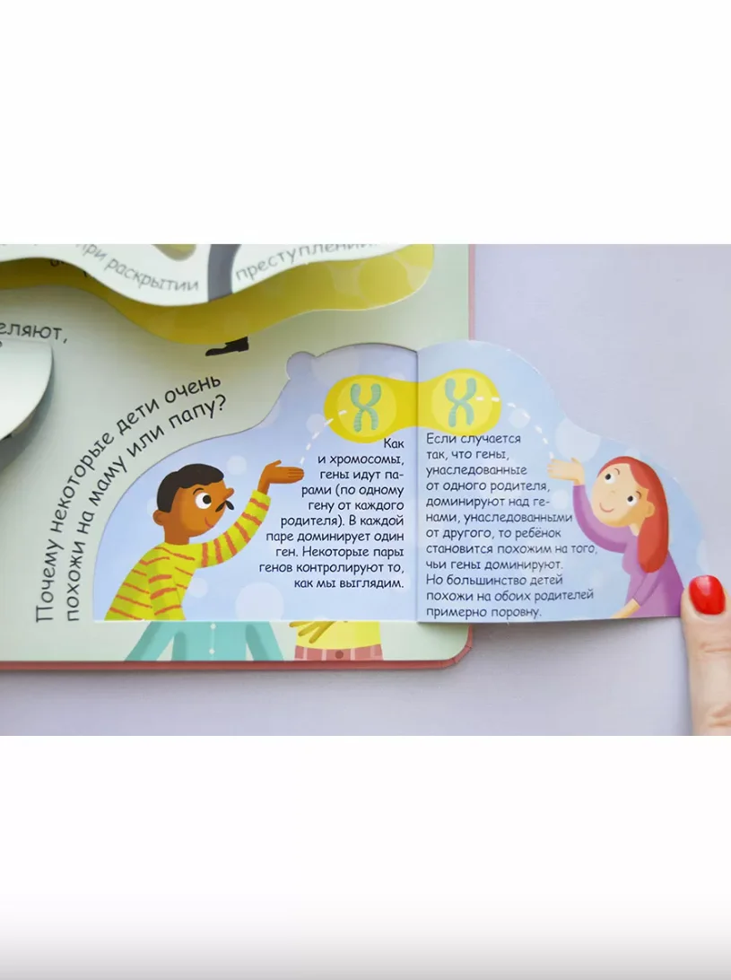 Волшебные окошки. Откуда берутся дети?