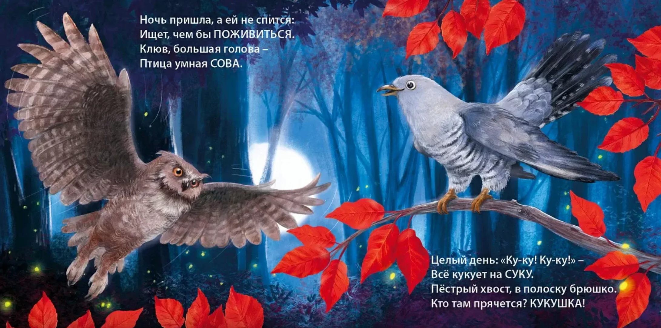 Книжки-картонки. Загадки-рифмы. Такие разные птицы