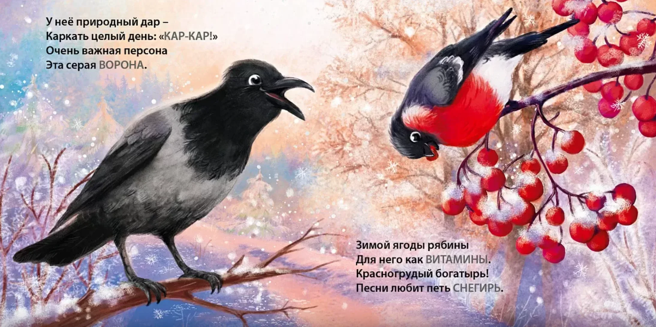 Книжки-картонки. Загадки-рифмы. Такие разные птицы