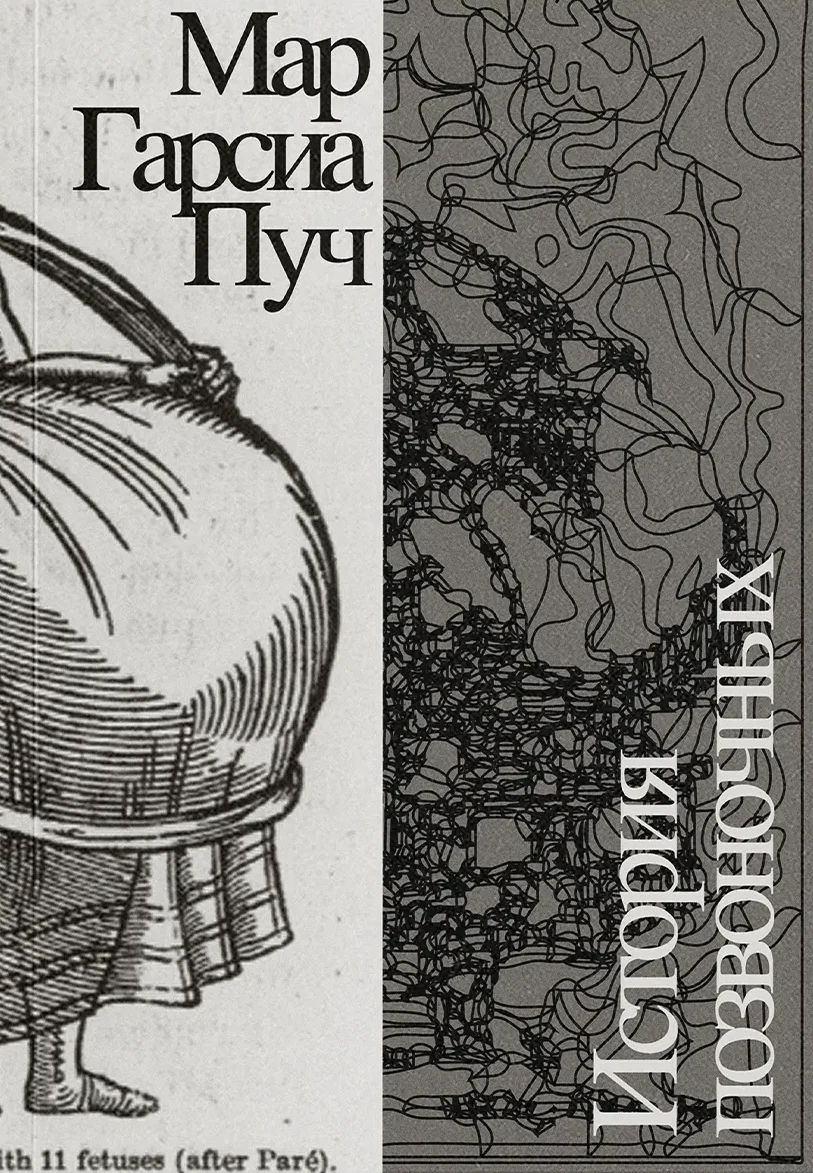 История позвоночных
