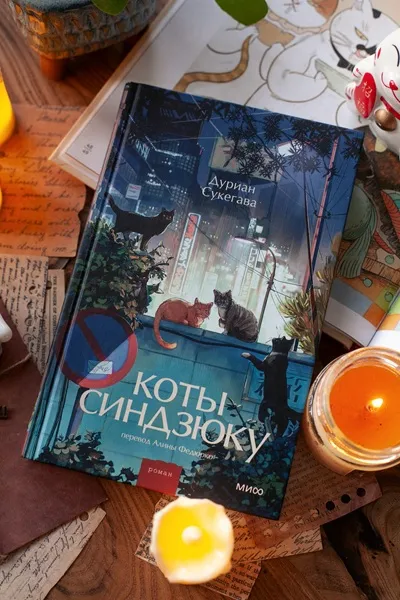 Коты Синдзюку