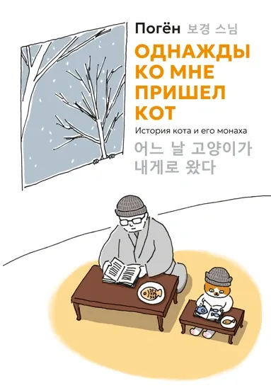 Обложка книги Однажды ко мне пришёл кот