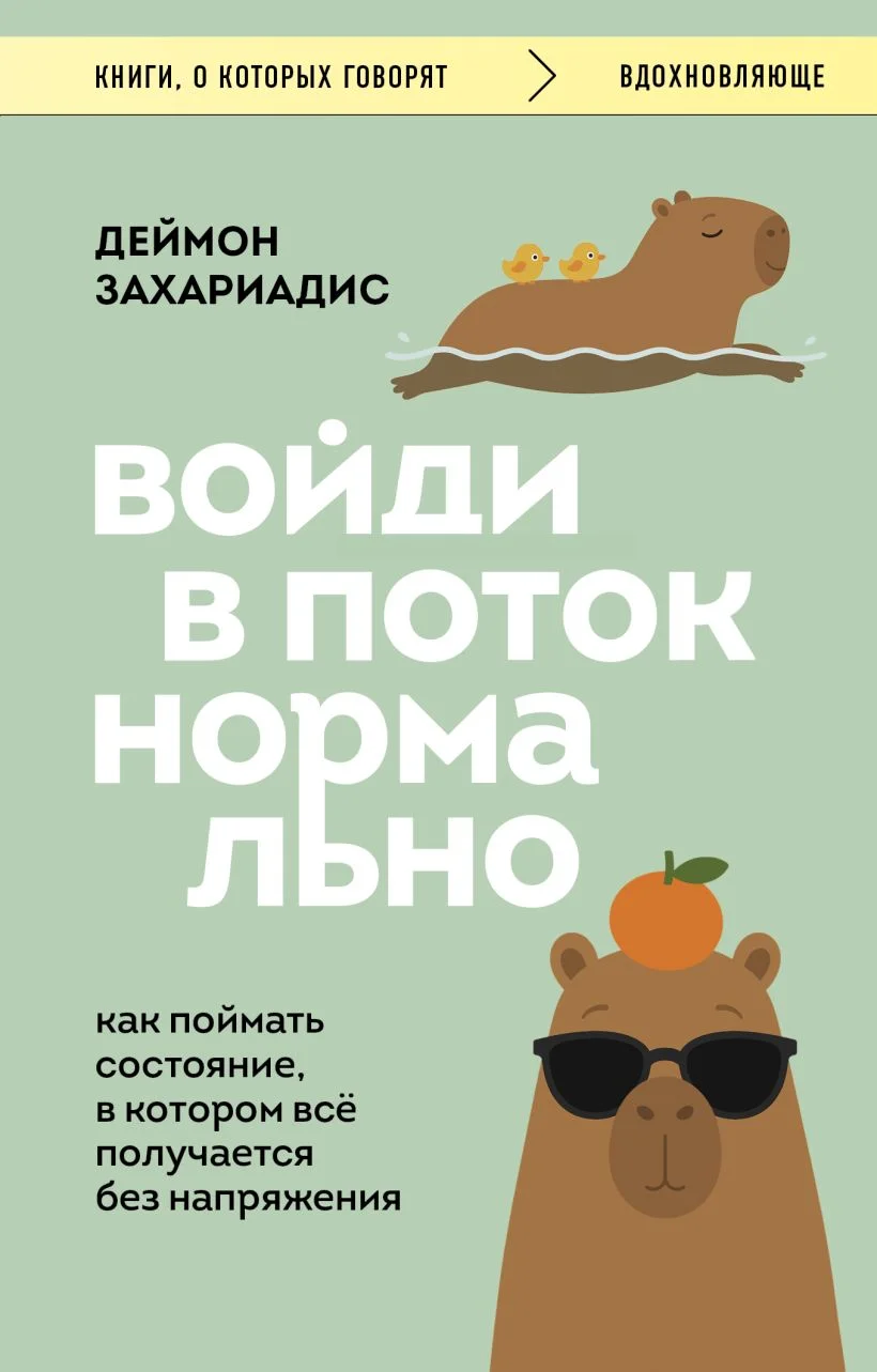 Обложка книги Войди в поток нормально! Как поймать состояние, в котором всё получается без напряжения