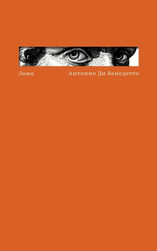 Обложка книги Зама