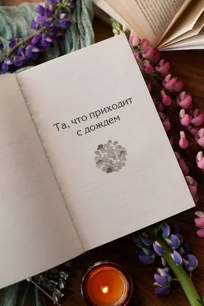 Госпожа дождя